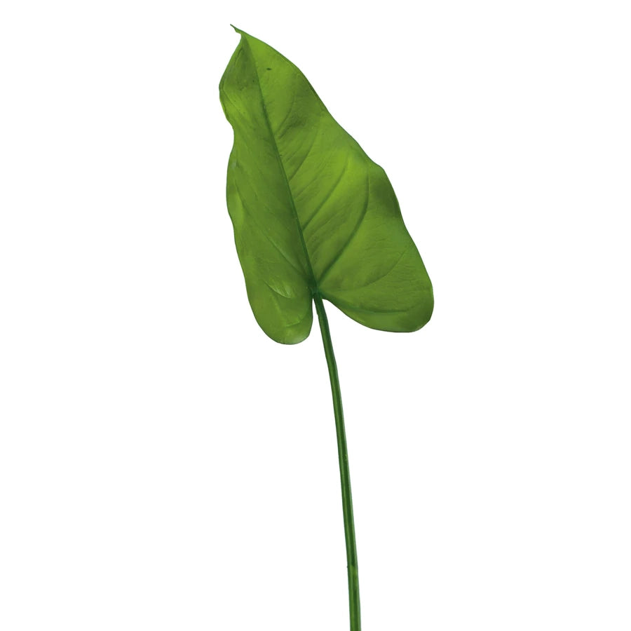 Calla Lily Leaf
