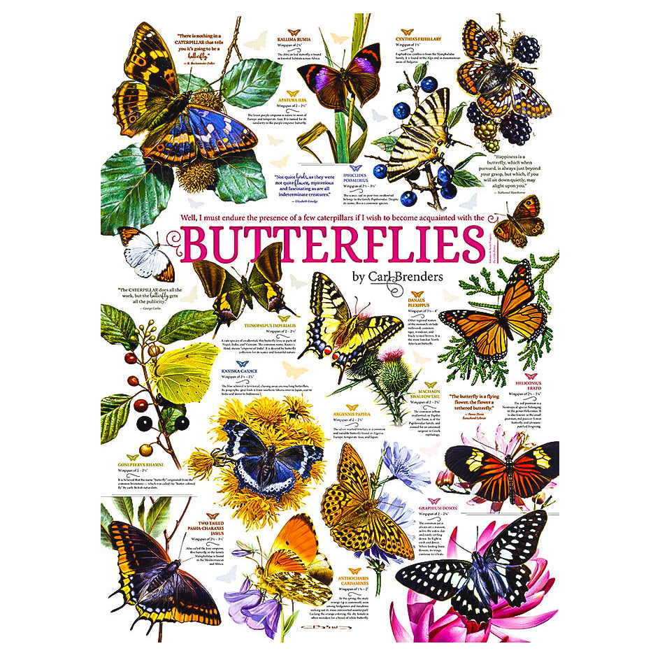 Cobble Hill: Butterfly Collection