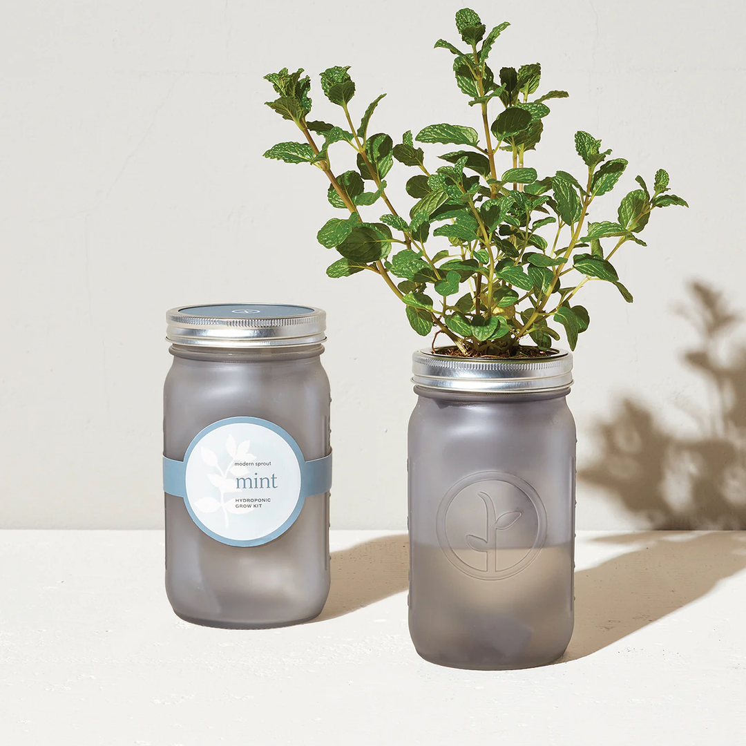 Mint Garden Jar