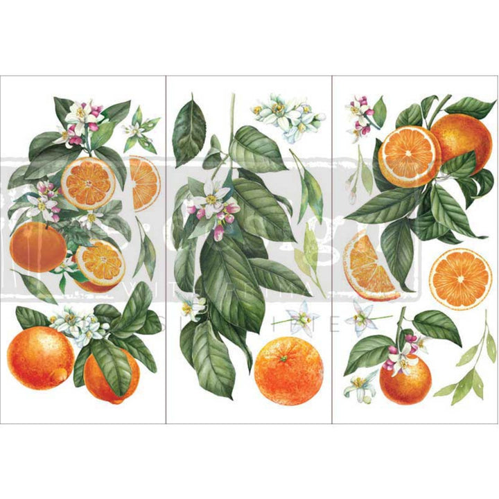 Decor Transfer – Citrus Slice