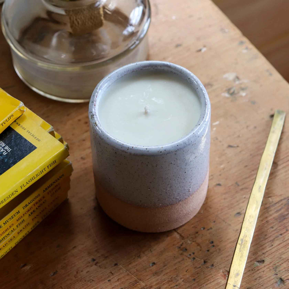 Farmer's Son Co. Paper Birch + Vetiver candle