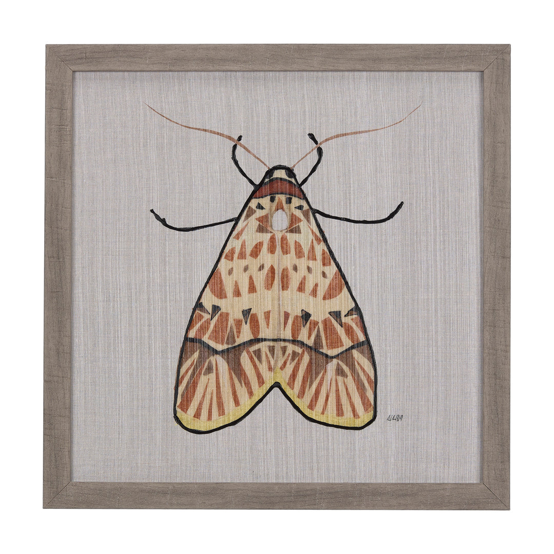 Moth I